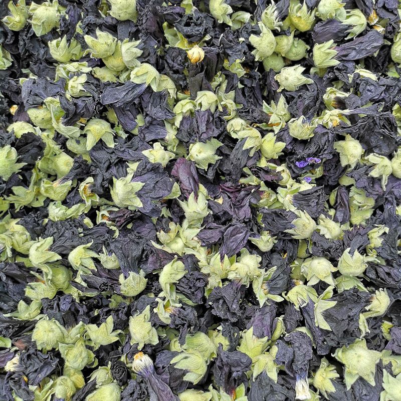Schwarze Malvenblüte