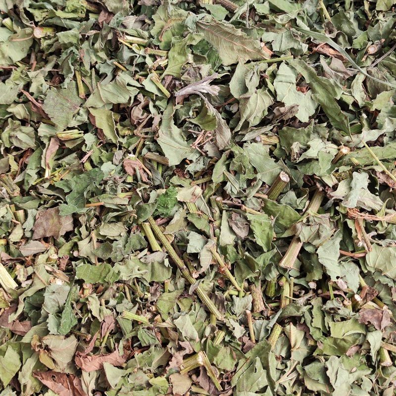 Topinamburkraut