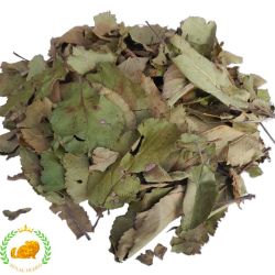 Apfelblatt