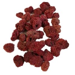 Himbeerfrucht
