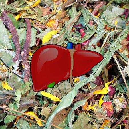 Hepatoprotektive Kräutermischung