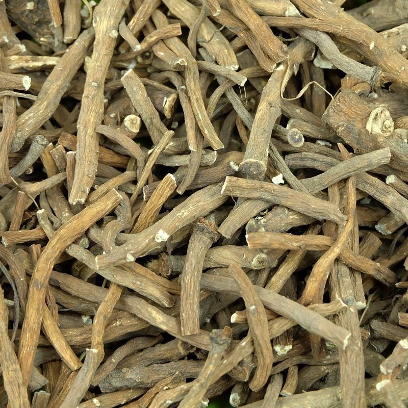Löwenzahnwurzel