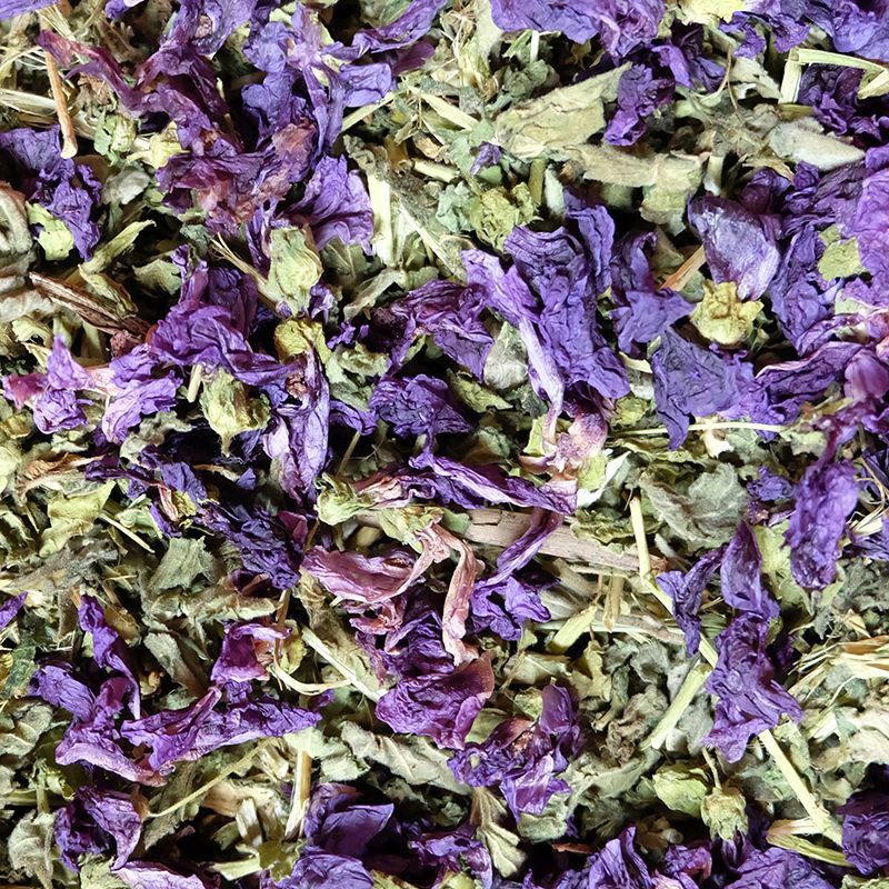 Malvenkraut mit Blume