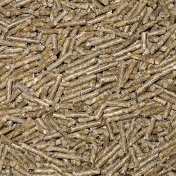 Chinchilla Pellets Angora