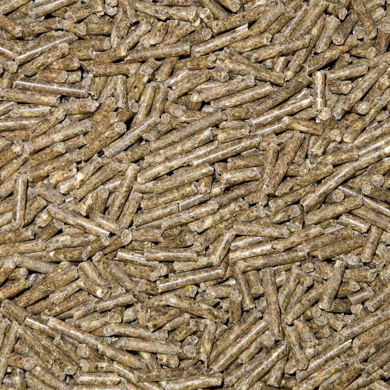 Chinchilla Pellets Angora